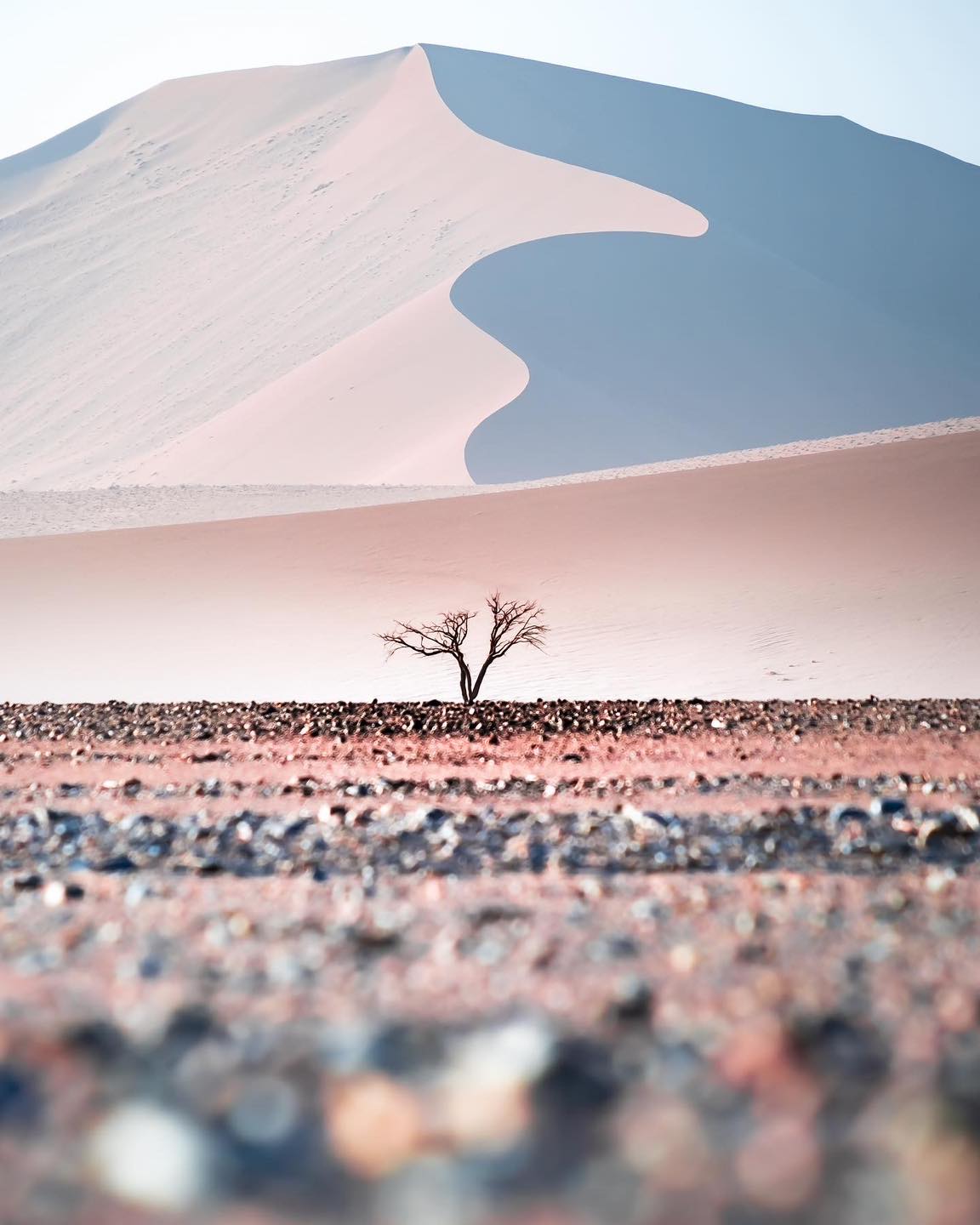 408091708_876665684121362_1447983784709787575_n