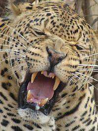 FB_IMG_1669913774777