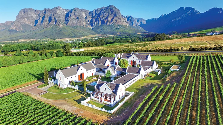 Stellenbosch Vineyards